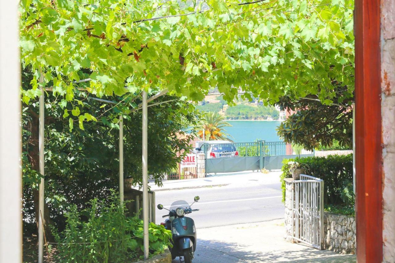 Apartments Nik 科托尔 外观 照片